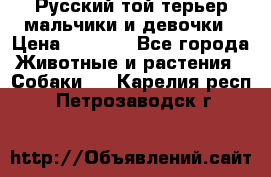 Русский той-терьер мальчики и девочки › Цена ­ 8 000 - Все города Животные и растения » Собаки   . Карелия респ.,Петрозаводск г.